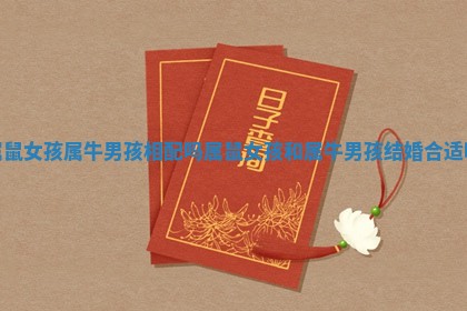 属鼠女孩属牛男孩相配吗 属鼠女孩和属牛男孩结婚合适吗