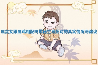 属鼠女跟属鸡相配吗揭秘生肖配对的真实情况与建议