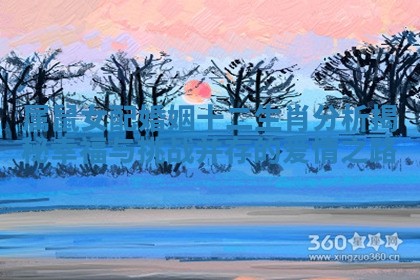 属鼠女配婚姻十二生肖分析揭秘幸福与挑战并存的爱情之路