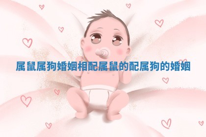 属鼠属狗婚姻相配 属鼠的配属狗的婚姻