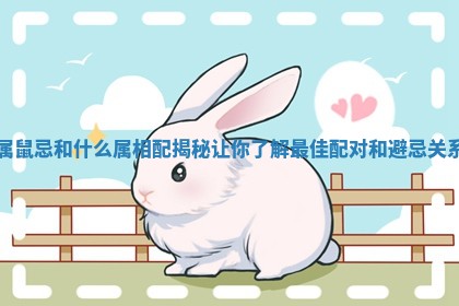 属鼠忌和什么属相配揭秘让你了解最佳配对和避忌关系