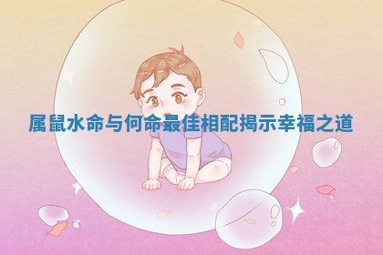 属鼠水命与何命最佳相配揭示幸福之道