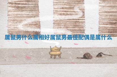 属鼠男什么属相好_属鼠男最佳配偶是属什么