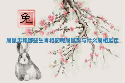 属鼠男和哪些生肖相配呢_属鼠男与什么属相最佳