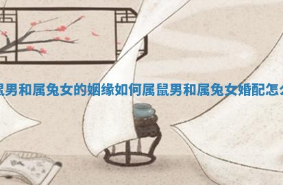 属鼠男和属兔女的姻缘如何 属鼠男和属兔女婚配怎么样 属鼠男和属兔女的姻缘如何 属鼠男和属兔女婚配怎么样