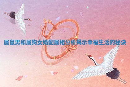 属鼠男和属狗女婚配属相分析揭示幸福生活的秘诀