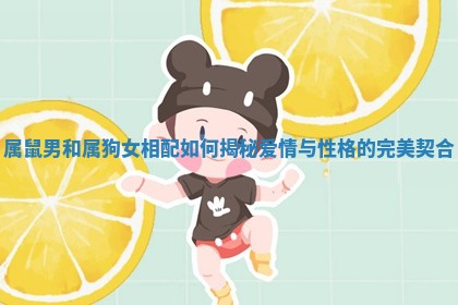 属鼠男和属狗女相配如何揭秘爱情与性格的完美契合