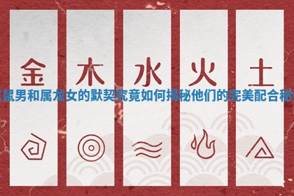 属鼠男和属龙女的默契究竟如何揭秘他们的完美配合秘诀