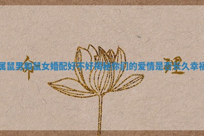 属鼠男和鼠女婚配好不好揭秘你们的爱情是否长久幸福