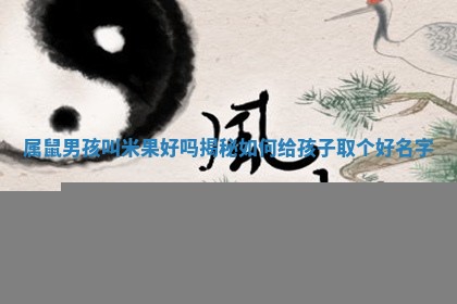 属鼠男孩叫米果好吗揭秘如何给孩子取个好名字