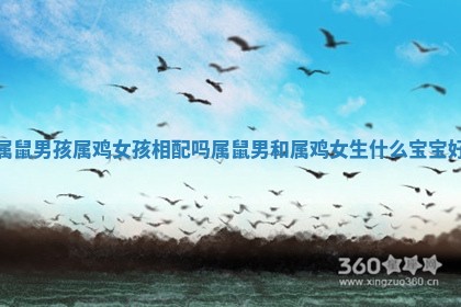 属鼠男孩属鸡女孩相配吗_属鼠男和属鸡女生什么宝宝好 属鼠男孩属鸡女孩相配吗_属鼠男和属鸡女生什么宝宝好