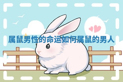 属鼠男性的命运如何_属鼠的男人