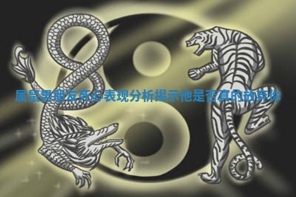 属鼠男朋友死心表现分析揭示他是否真的放弃你