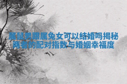 属鼠男跟属兔女可以结婚吗揭秘两者的配对指数与婚姻幸福度