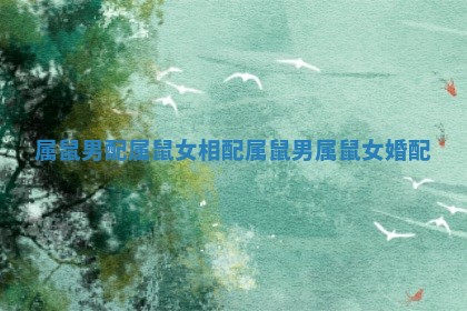 属鼠男配属鼠女相配 属鼠男属鼠女婚配