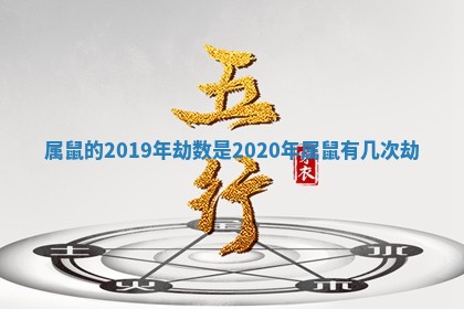 属鼠的2019年劫数是_2020年属鼠有几次劫