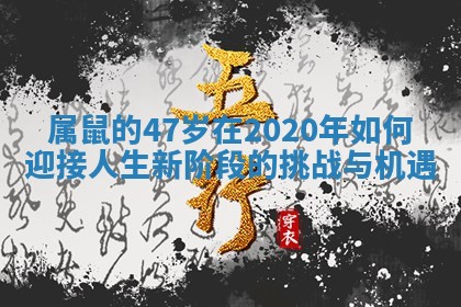 属鼠的47岁在2020年如何迎接人生新阶段的挑战与机遇