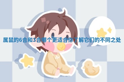 属鼠的6合和3合哪个更适合你了解它们的不同之处