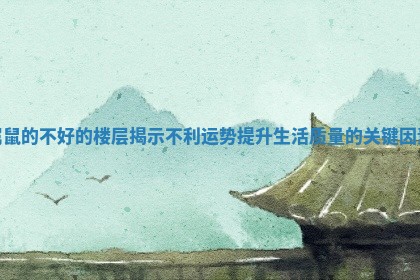 属鼠的不好的楼层揭示不利运势提升生活质量的关键因素