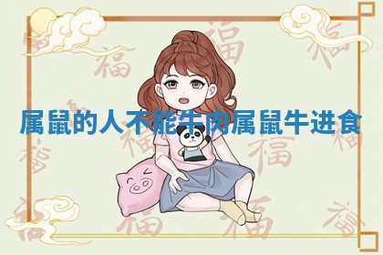 属鼠的人不能牛肉_属鼠牛进食