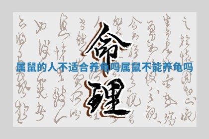 属鼠的人不适合养龟吗_属鼠不能养龟吗