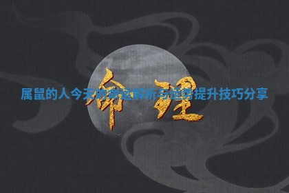 属鼠的人今天的命运解析与运势提升技巧分享