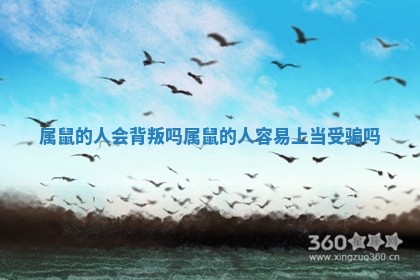 属鼠的人会背叛吗_属鼠的人容易上当受骗吗 属鼠的人会背叛吗_属鼠的人容易上当受骗吗