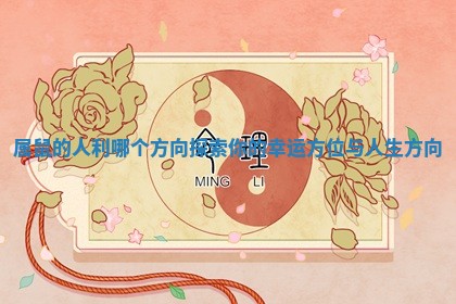 属鼠的人利哪个方向探索你的幸运方位与人生方向