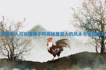 属鼠的人可以摆狮子吗揭秘属鼠人的风水与运势关系 属鼠的人可以摆狮子吗揭秘属鼠人的风水与运势关系