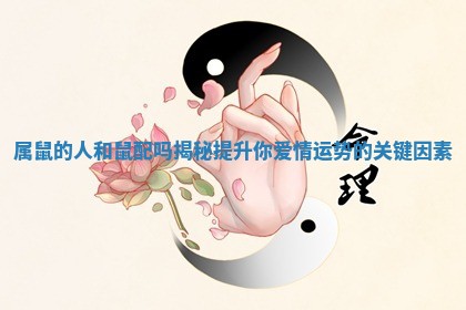 属鼠的人和鼠配吗揭秘提升你爱情运势的关键因素 属鼠的人和鼠配吗揭秘提升你爱情运势的关键因素