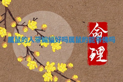 属鼠的人带蝙蝠好吗_属鼠的能带佛吗