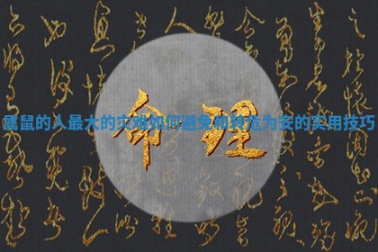 属鼠的人最大的灾难如何避免和转危为安的实用技巧