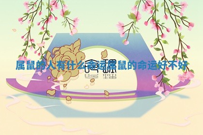 属鼠的人有什么命运 属鼠的命运好不好