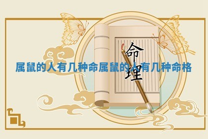 属鼠的人有几种命_属鼠的人有几种命格