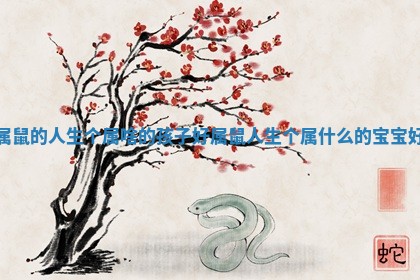 属鼠的人生个属啥的孩子好_属鼠人生个属什么的宝宝好