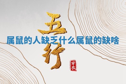 属鼠的人缺乏什么_属鼠的缺啥 属鼠的人缺乏什么_属鼠的缺啥