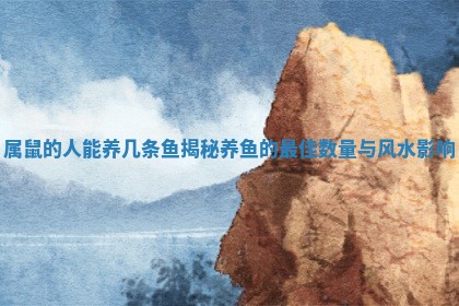 属鼠的人能养几条鱼揭秘养鱼的最佳数量与风水影响