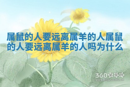 属鼠的人要远离属羊的人_属鼠的人要远离属羊的人吗为什么