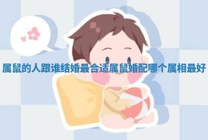属鼠的人跟谁结婚最合适_属鼠婚配哪个属相最好 属鼠的人跟谁结婚最合适_属鼠婚配哪个属相最好