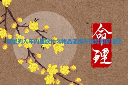 属鼠的人车内摆放什么物品能提升运势和舒适感 属鼠的人车内摆放什么物品能提升运势和舒适感