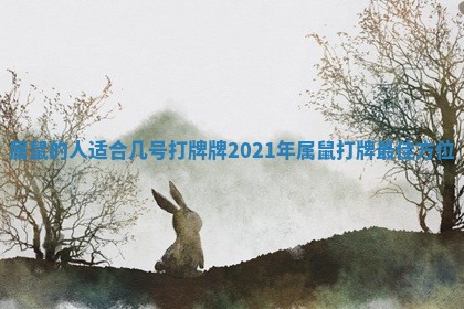 属鼠的人适合几号打牌牌 2021年属鼠打牌最佳方位