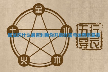 属鼠的什么最吉利助你开启财富与运势新篇章