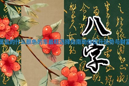 属鼠的什么颜色的车最旺选择指南助你提升运势与财富