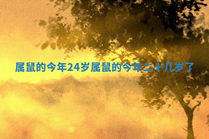 属鼠的今年24岁_属鼠的今年二十几岁了