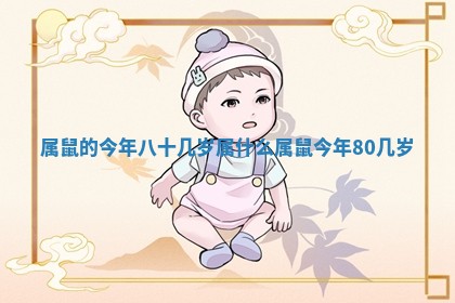 属鼠的今年八十几岁属什么_属鼠今年80几岁