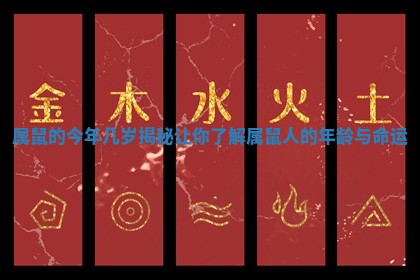 属鼠的今年几岁揭秘 让你了解属鼠人的年龄与命运