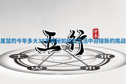 属鼠的今年多大30岁揭秘如何在生活中迎接新的挑战