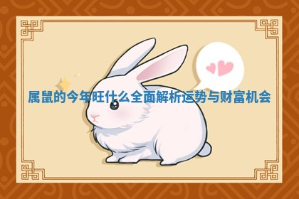 属鼠的今年旺什么全面解析运势与财富机会