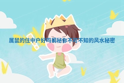 属鼠的住中户好吗揭秘你不可不知的风水秘密