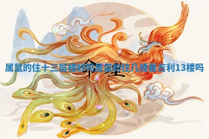 属鼠的住十三层楼好吗_属鼠的住几楼最吉利13楼吗